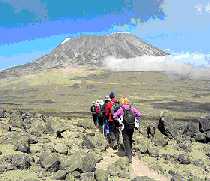 Mt Kilimanjaro Climbing